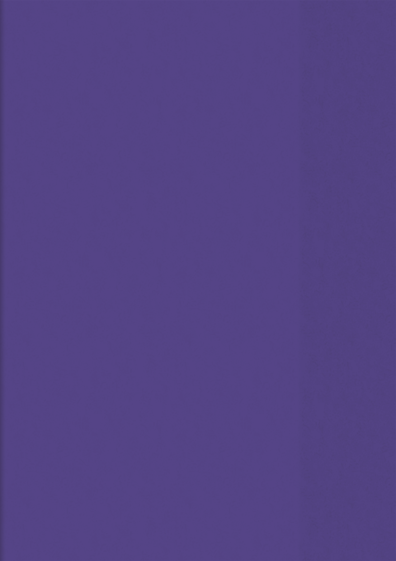 25 x Brunnen Heftumschlag A5 violett