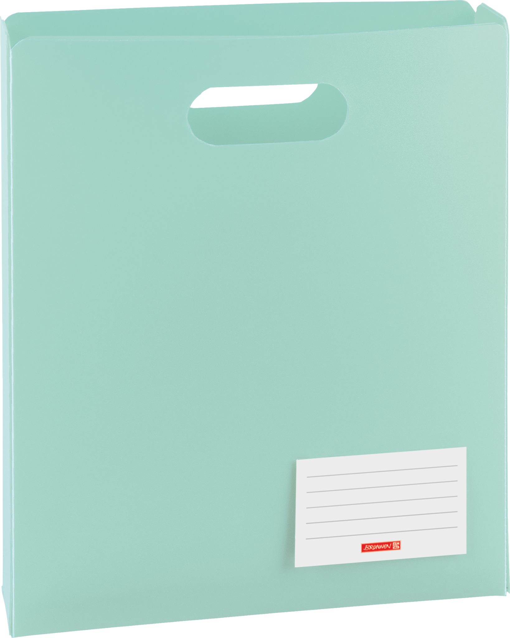 Heftbox FACT!pp | A4, Füllhöhe: 50 mm, mint