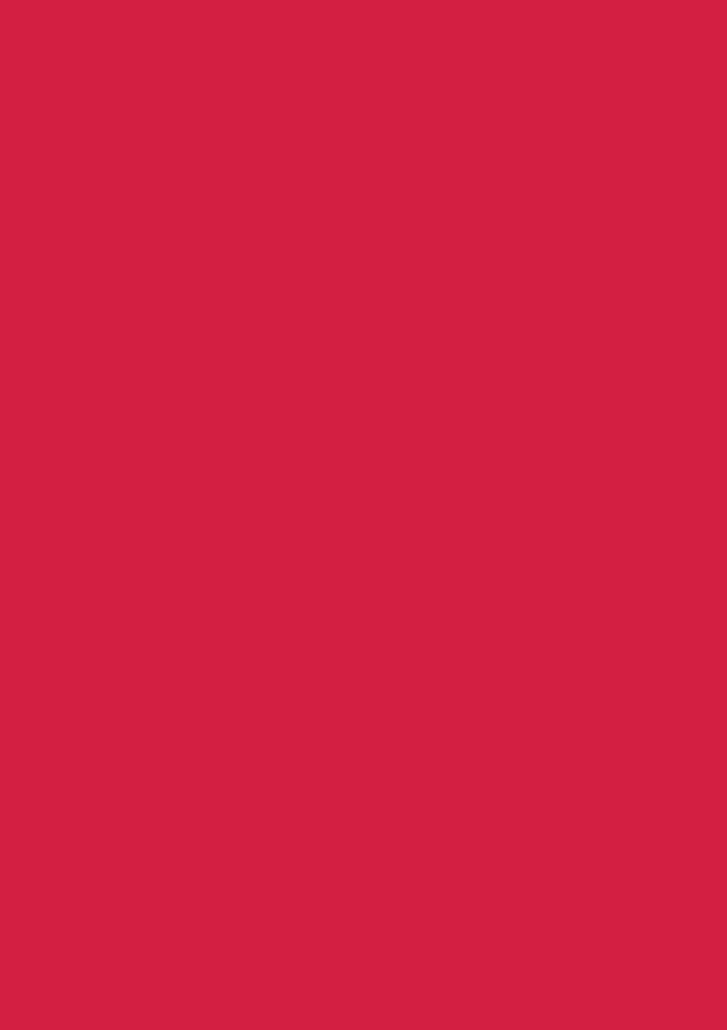 Multifunktionspapier Universalpapier | A4, 120 g/m², mittelrot, 35 Blatt
