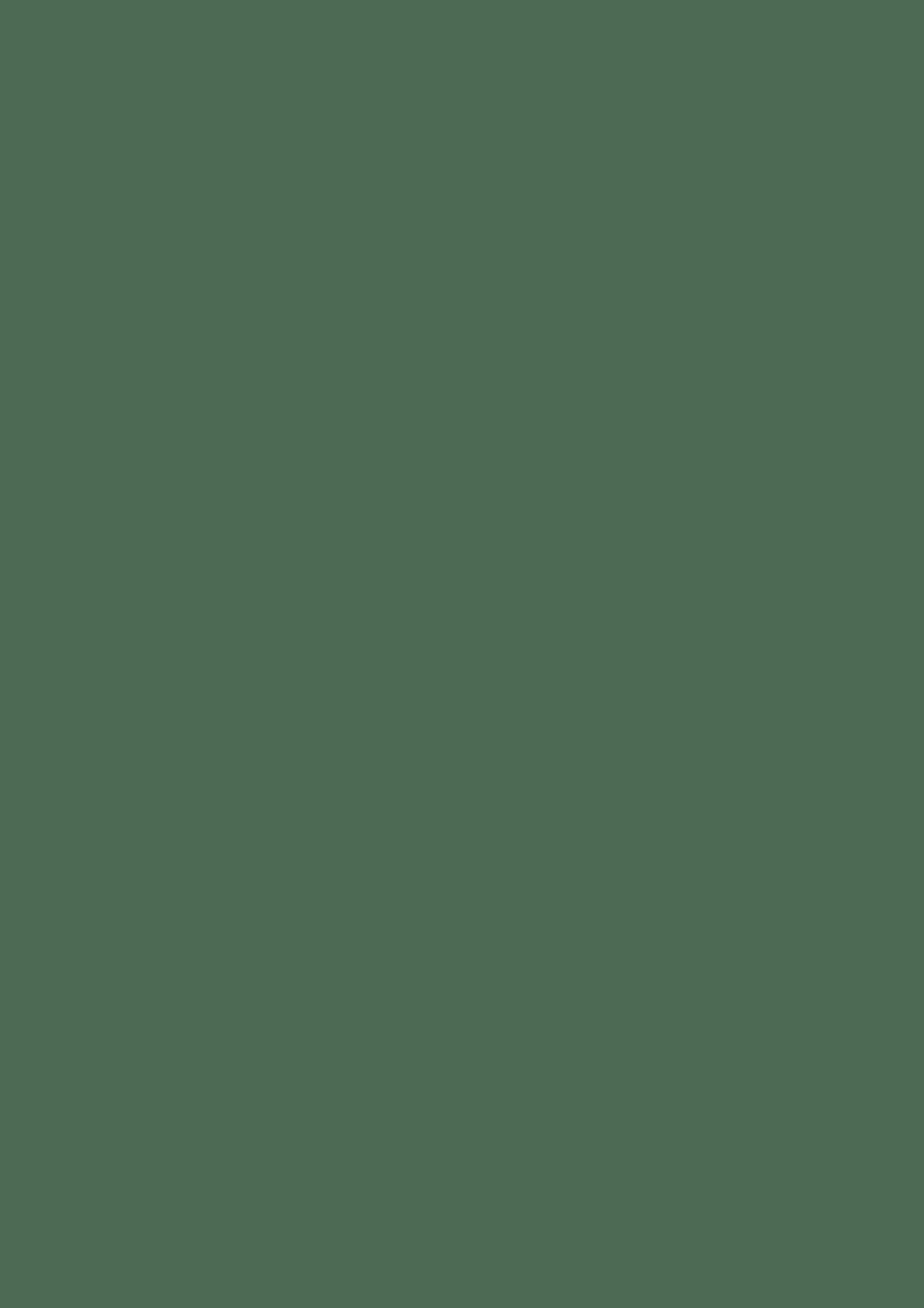 Multifunktionspapier Universalpapier | A4, 120 g/m², moosgrün, 35 Blatt