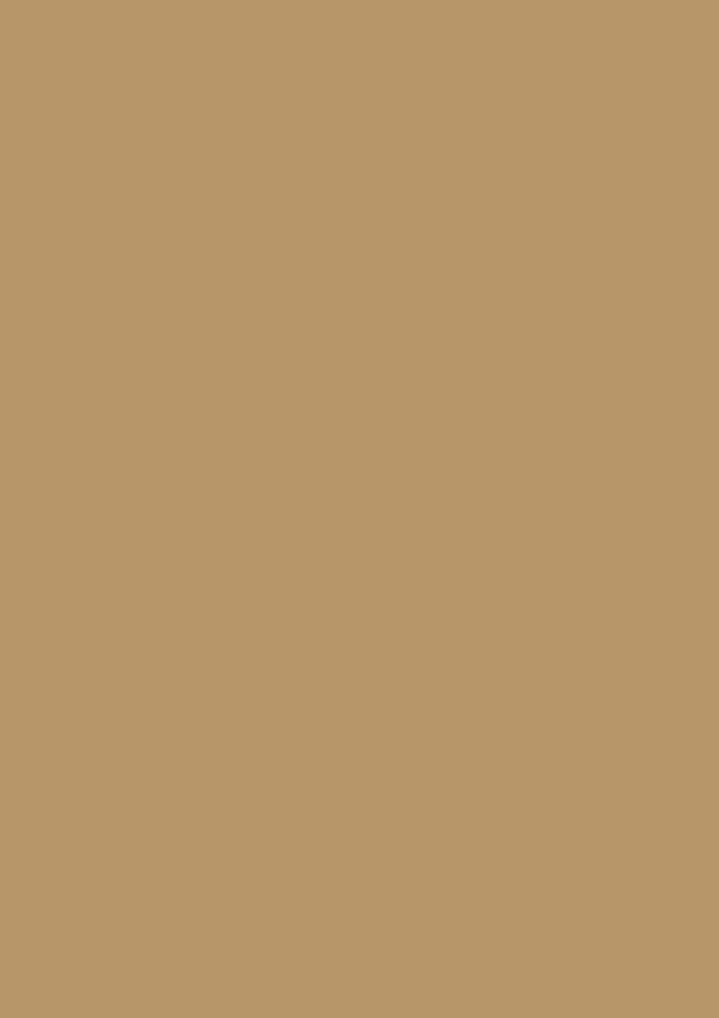 Multifunktionspapier Universalpapier | A4, 80 g/m², sand, 50 Blatt