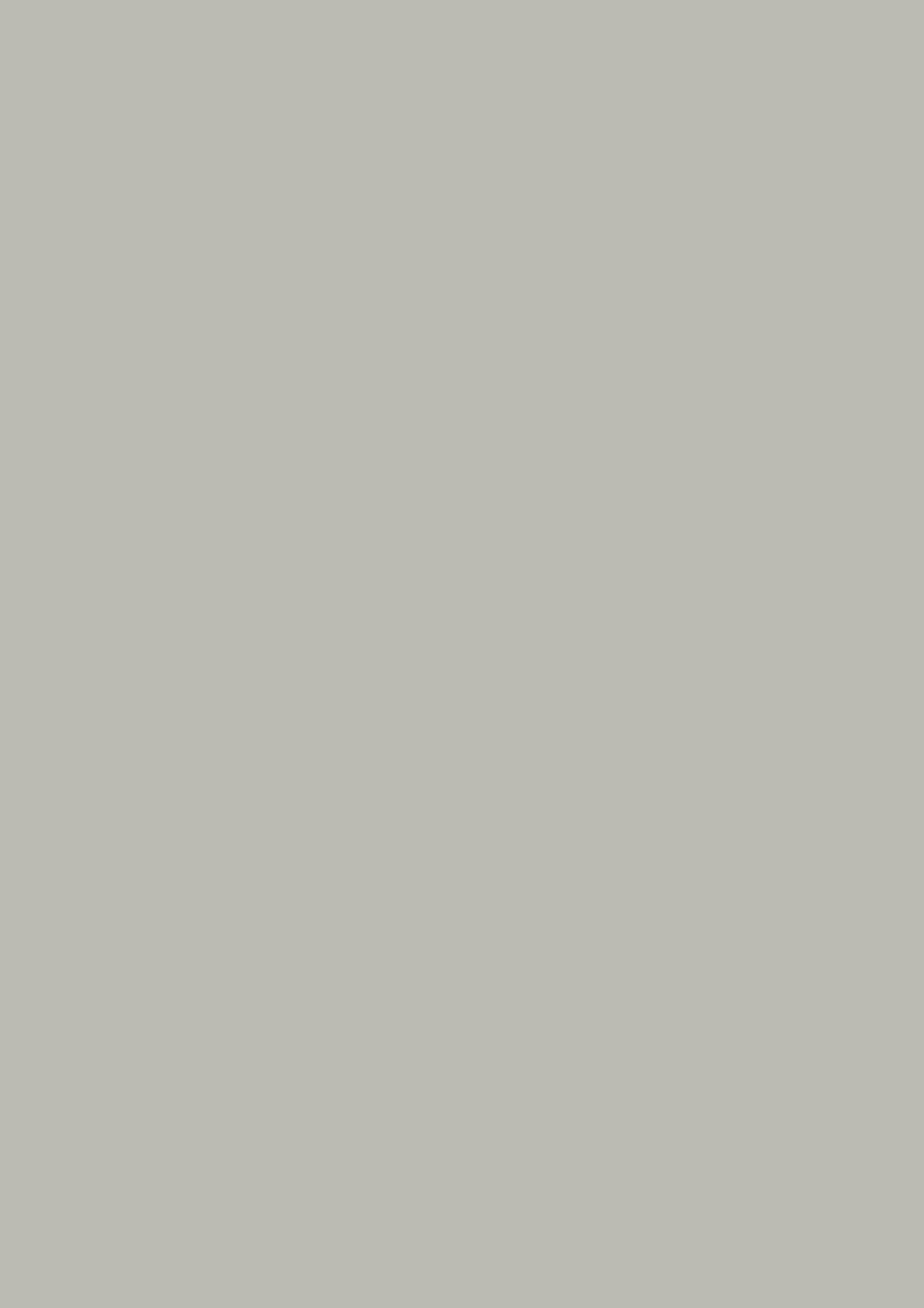 Multifunktionspapier Universalpapier | A4, 80 g/m², grau, 50 Blatt