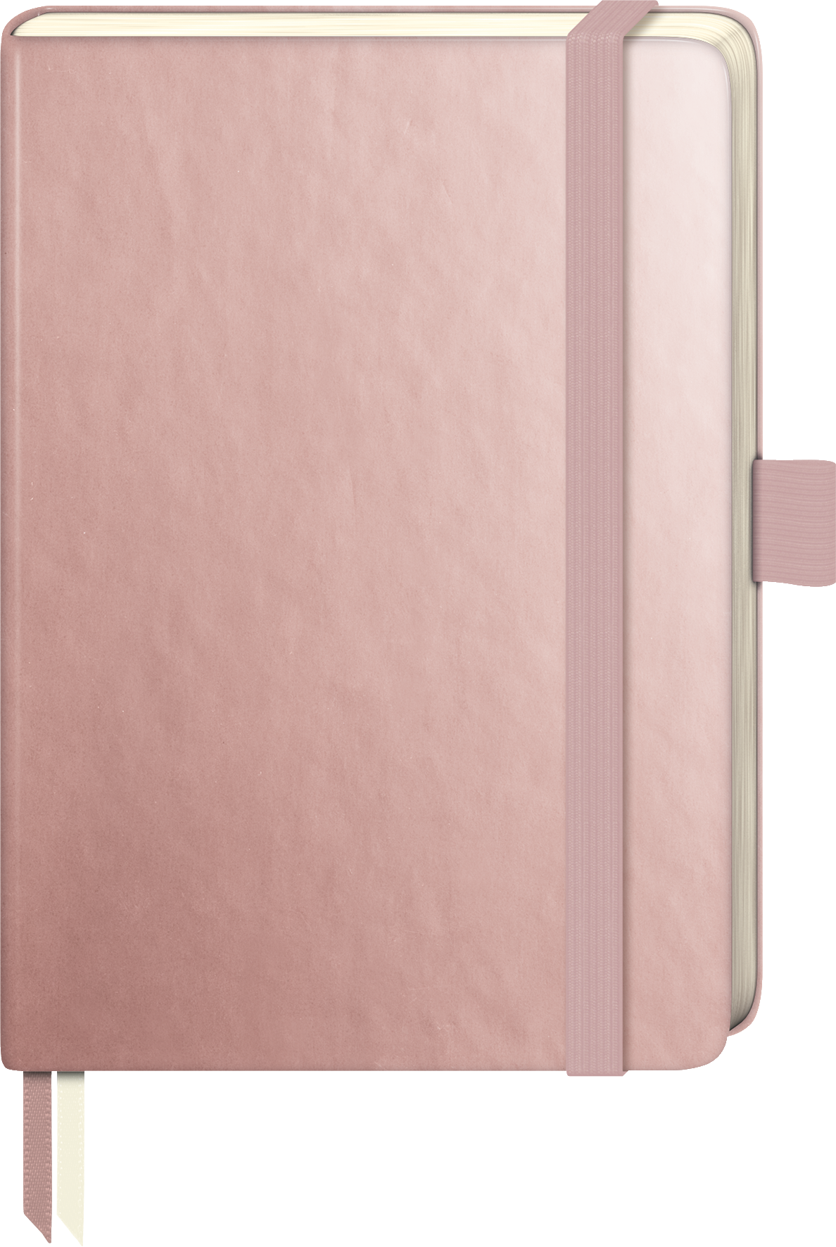 3 x Brunnen Notizbuch Kompagnon Metallic 9,5 x 12,8cm 80g/qm dotted Ha