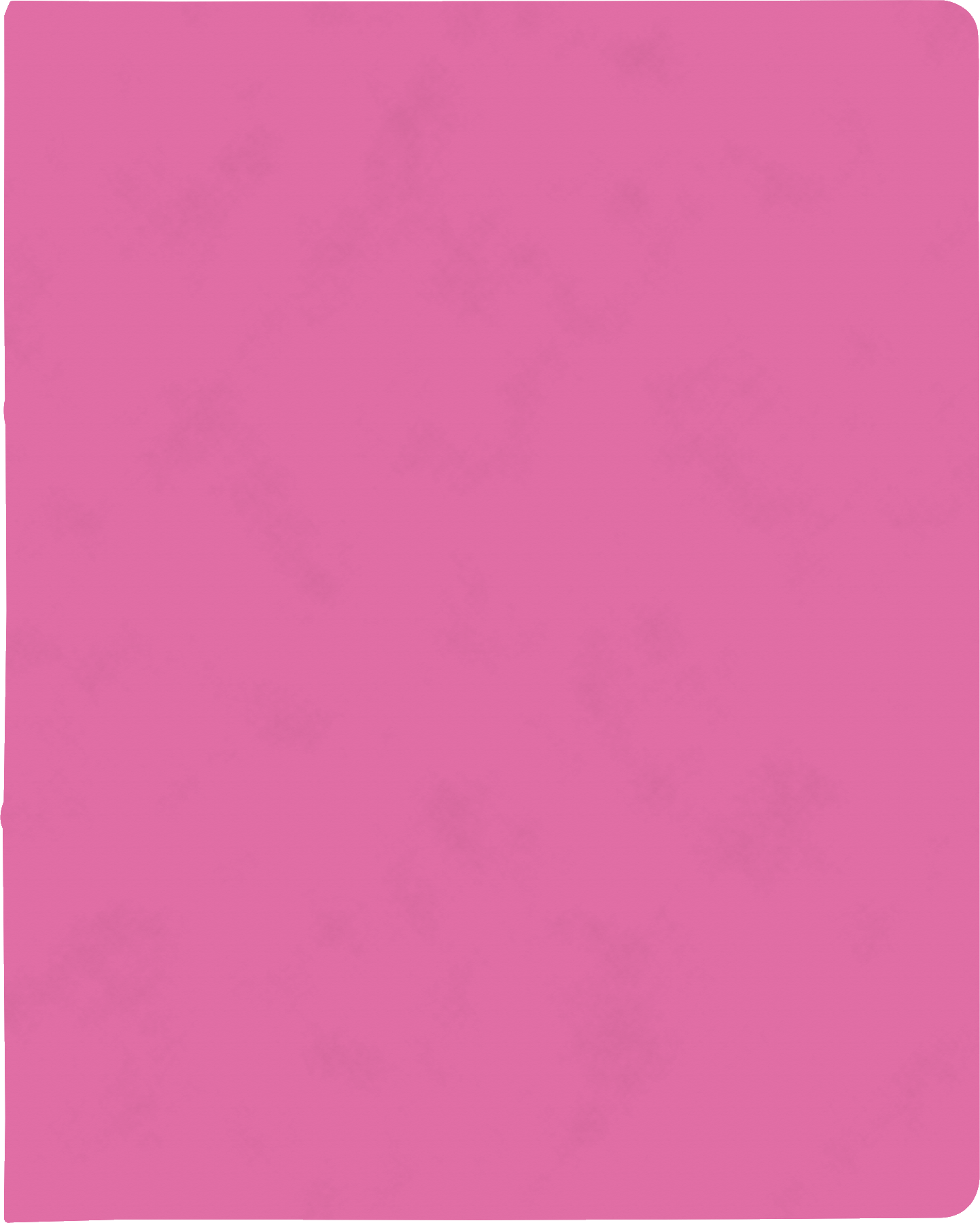 10 x Brunnen Ringbuch Fact! plus A4 Pressspankarton 15mm 2 Ringe pink