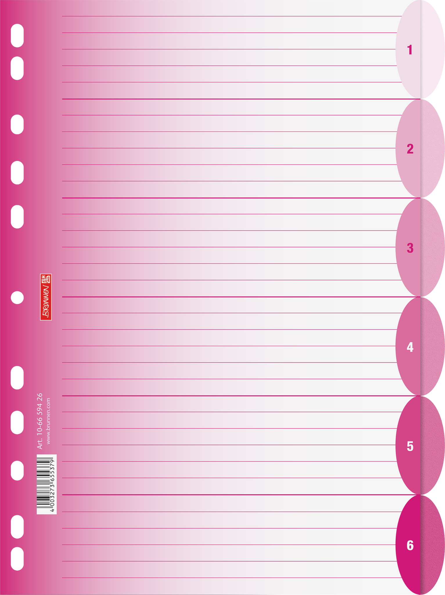 10 x Brunnen Register Colour Code A4 6-teilig PP blanko pink