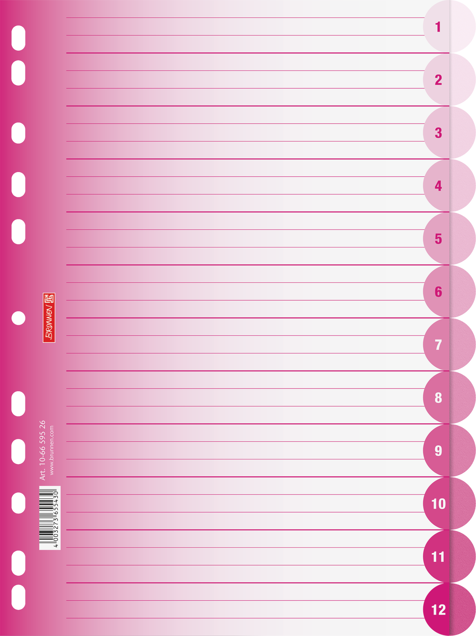 10 x Brunnen Register Colour Code A4 12-teilig PP blanko pink