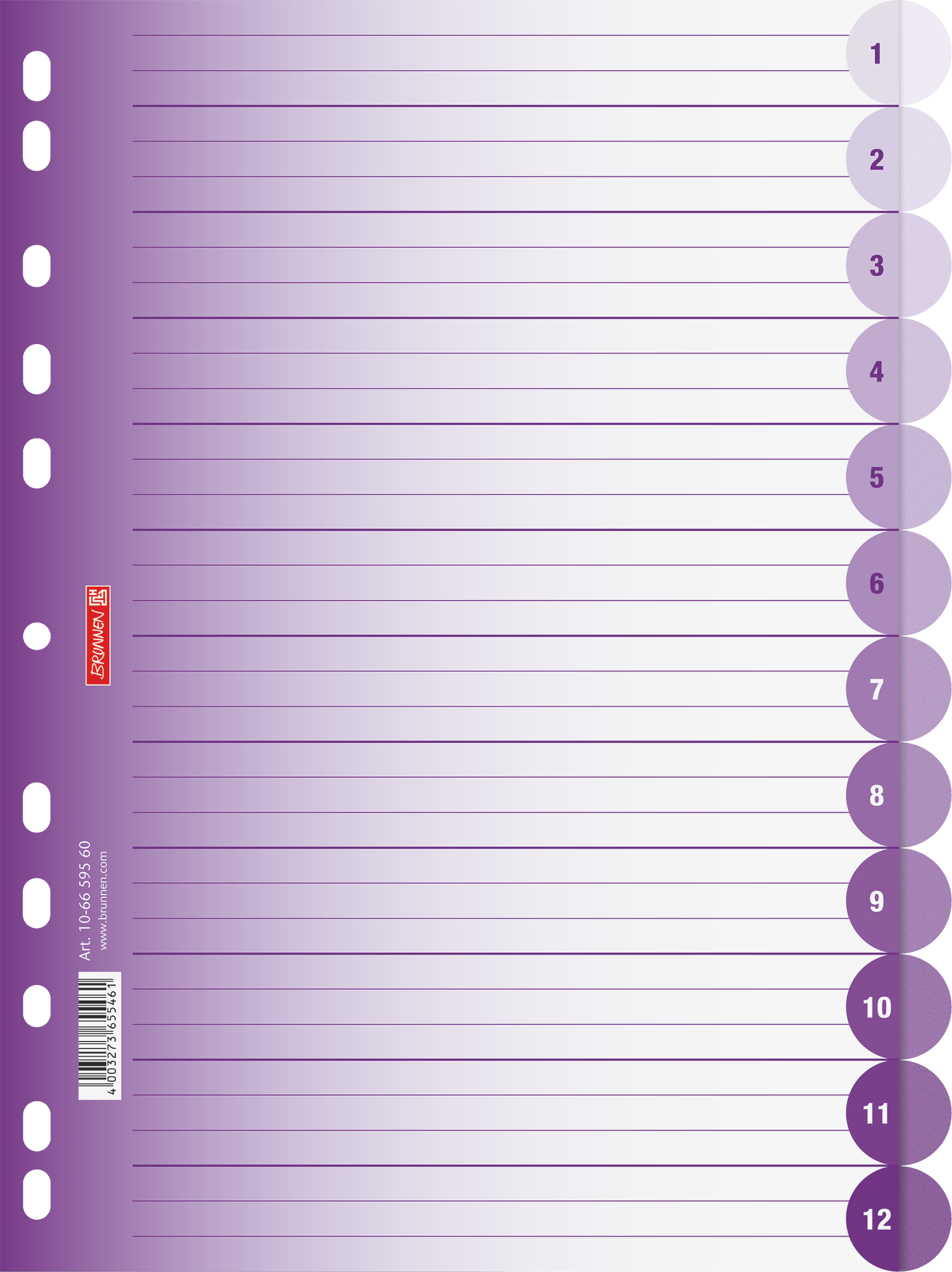 10 x Brunnen Register Colour Code A4 12-teilig PP blanko purple