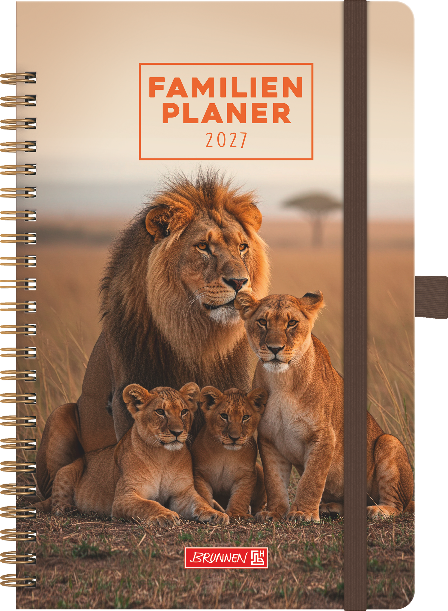 Brunnen Familienplaner A5 1 Woche/2 Seiten Grafik-Einband Lions 2027