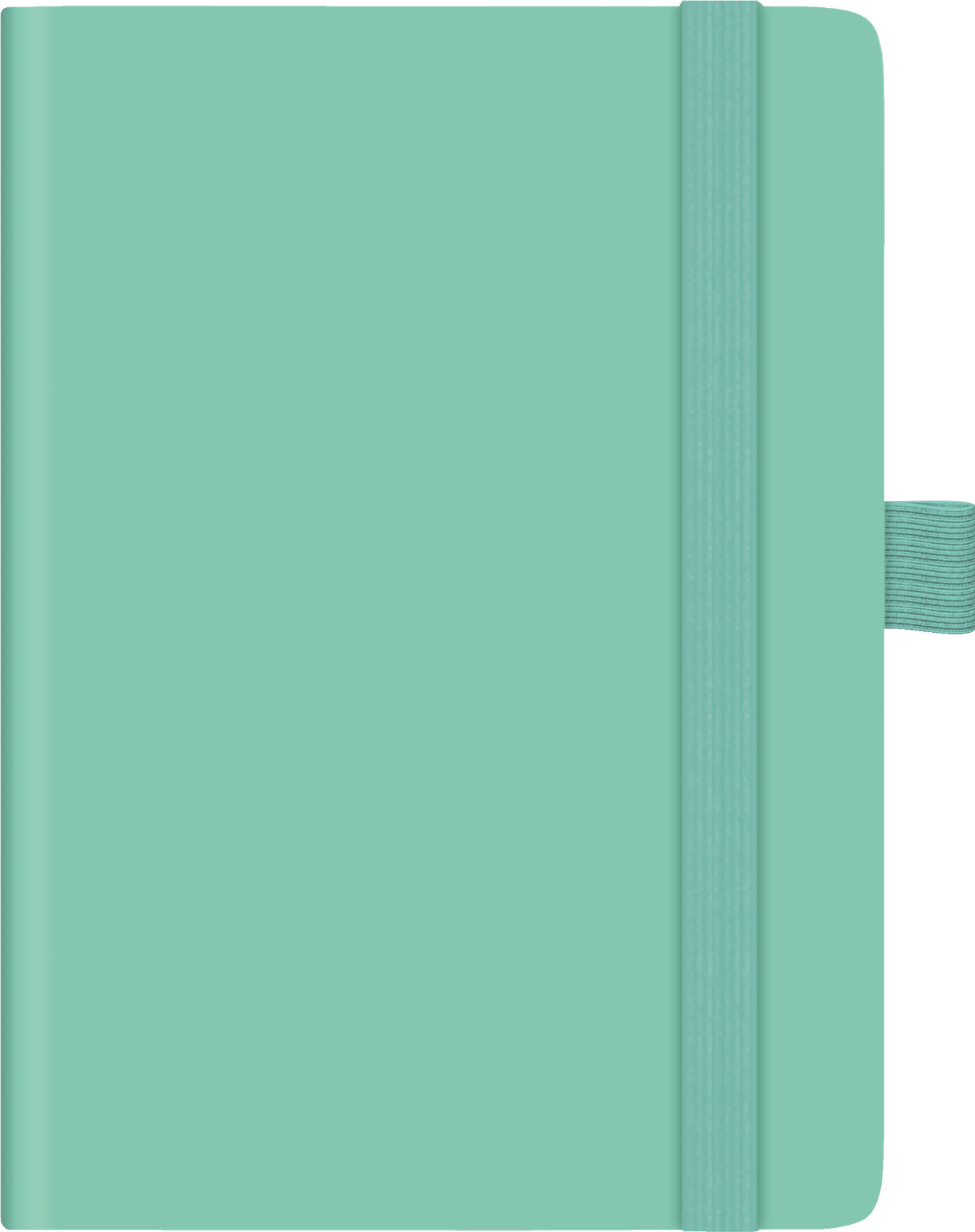 BRUNNEN 1073266527 Taschenkalender Kompagnon Mod. 732 66 2027 A6, Kunststoff, hellgrün