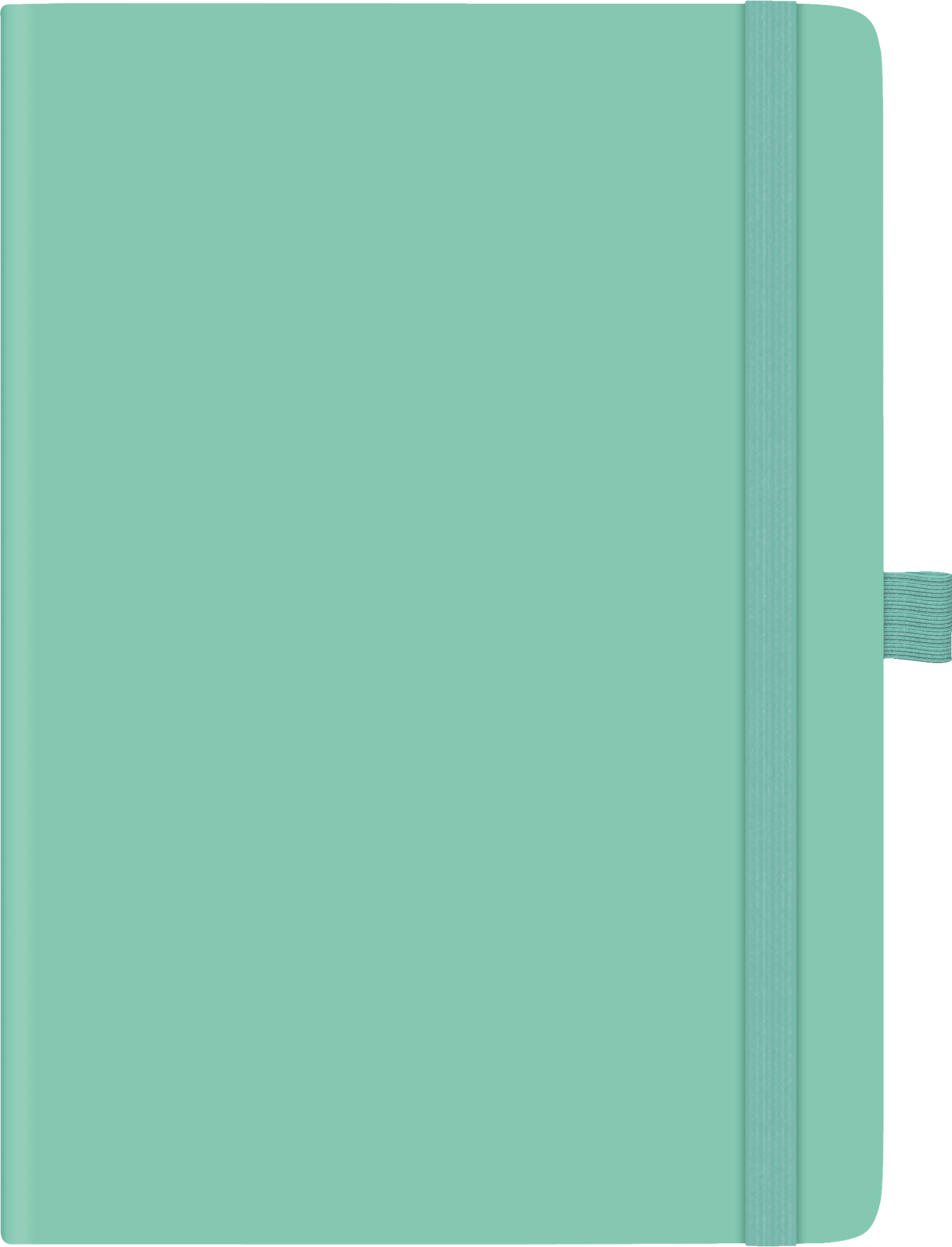 Buchkalender Kompagnon Mod. 791 66 2027 | A5, Kunststoff, hellgrün