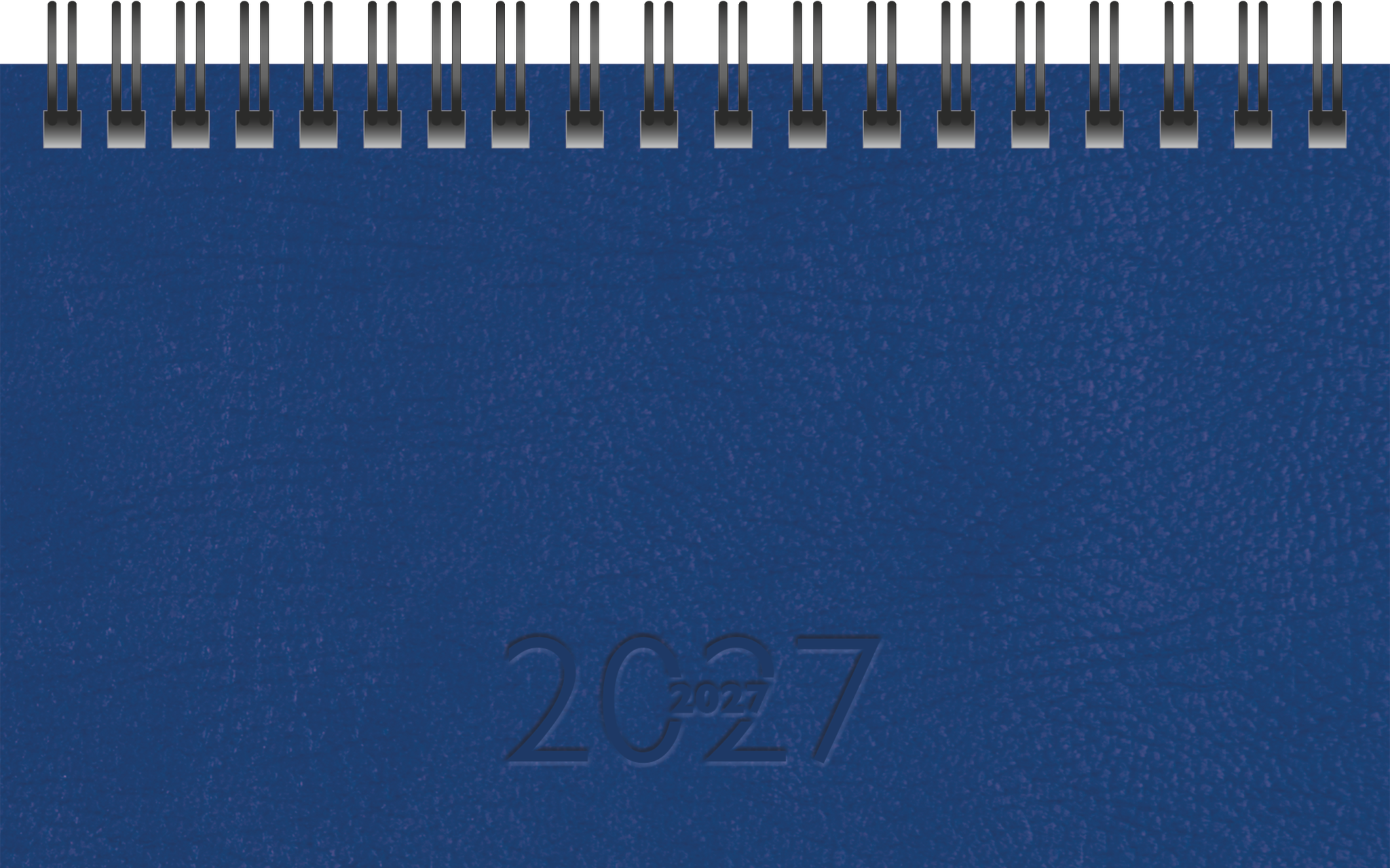Rido Taschenkalender TM17 8,7x15,3cm 1 Woche/2 Seiten Kunstleder Prest