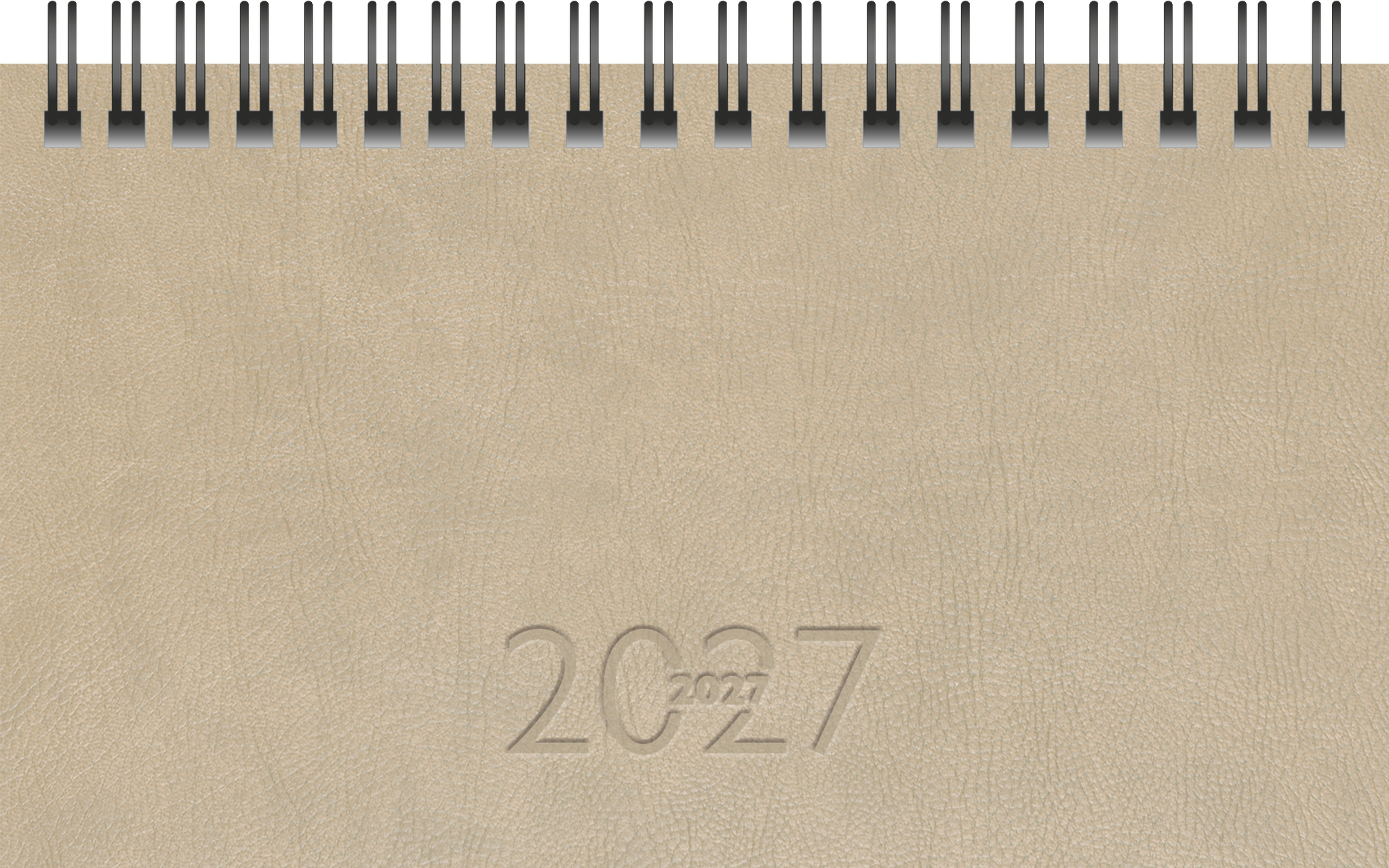 Rido Taschenkalender TM17 8,7x15,3cm 1 Woche/2 Seiten Kunstleder Prest