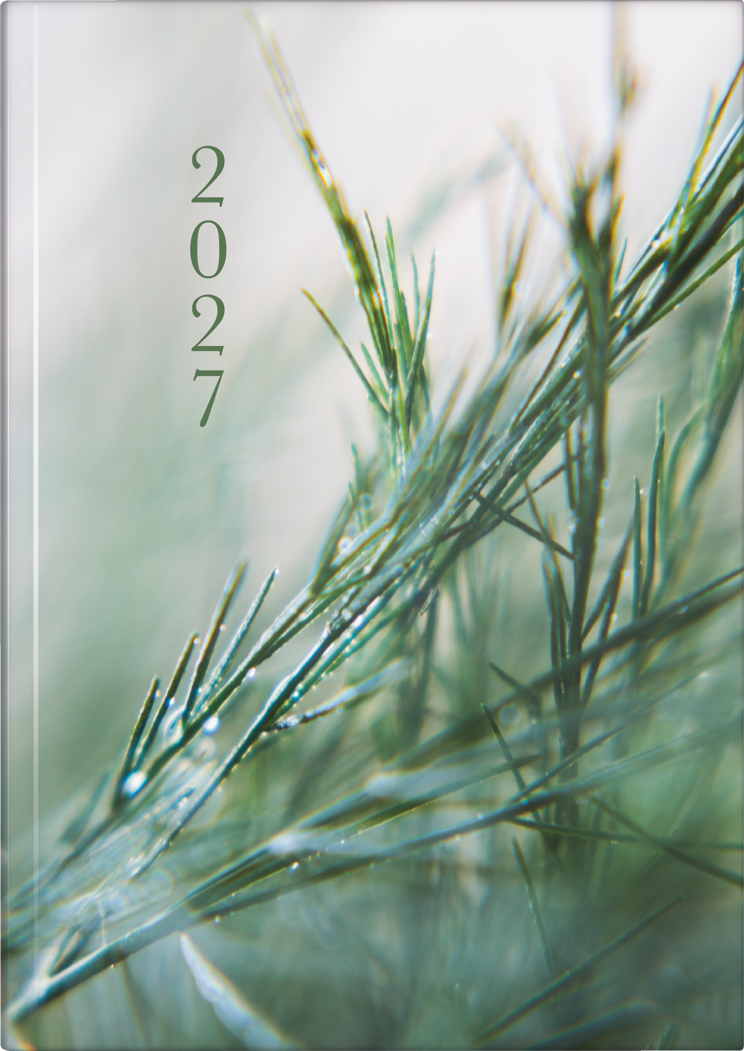 rido/idé 7021507017 Buchkalender Premium Young Line 2027 "Greeny" A5, Papier