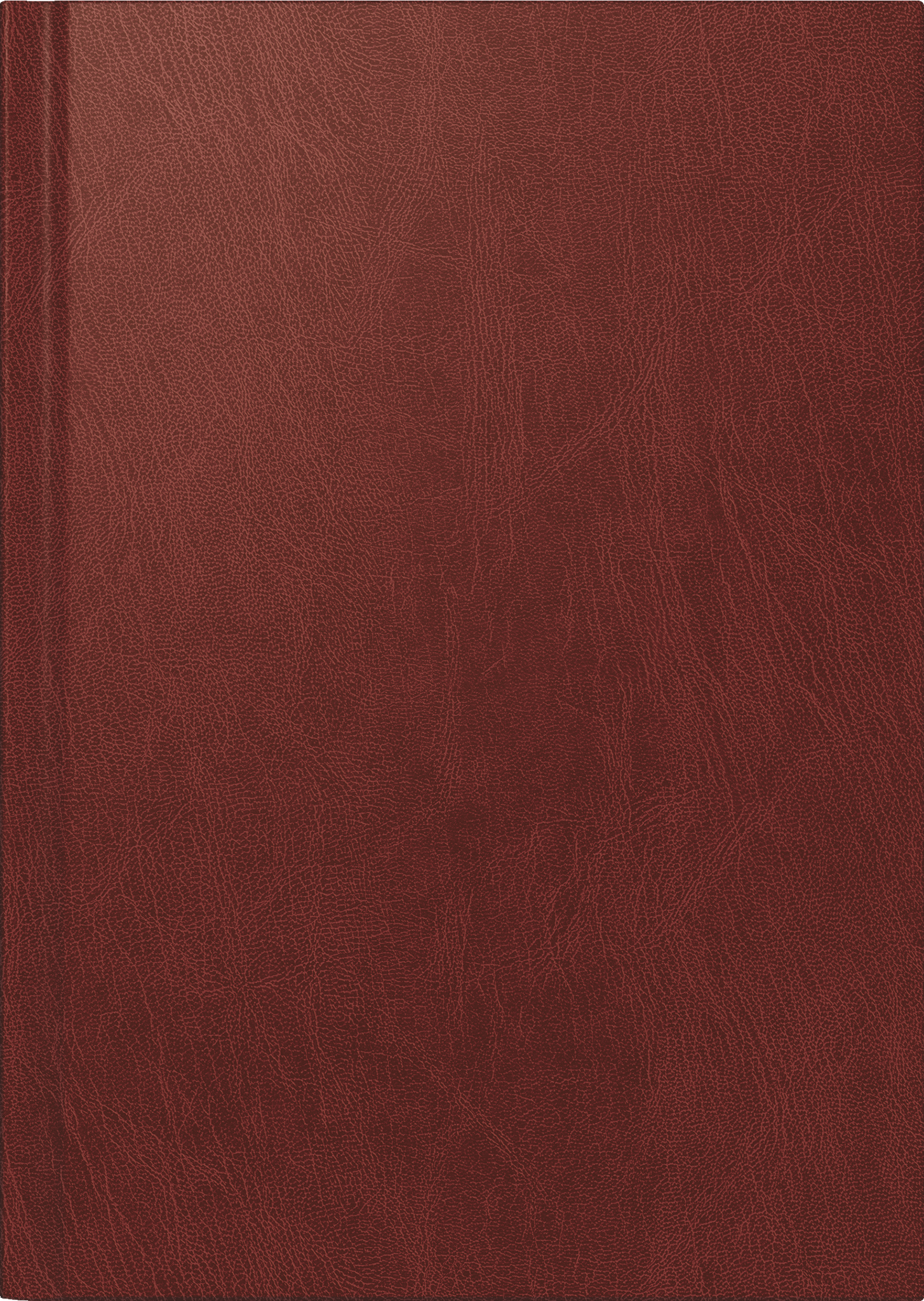 Rido Buchkalender Chefplaner 14,5x20,6cm 1 Tag/Seite Miradur-Einband w