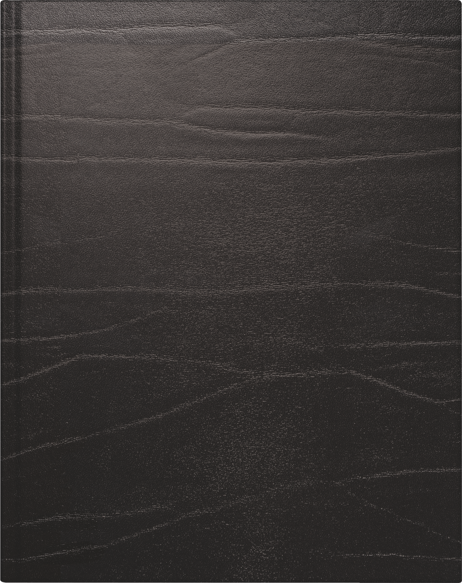 Buchkalender Premium Mod. Managerkalender TM 2027 | 20,5×26 cm, Leder, schwarz