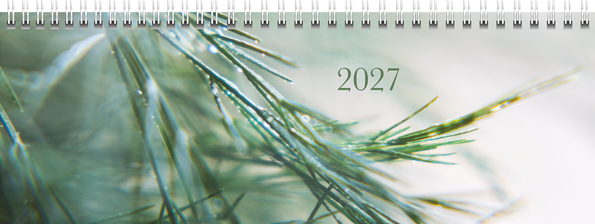 3 x Rido Querkalender Young Line 29,7x10,5cm 1 Woche/2 Seiten Greeny 2