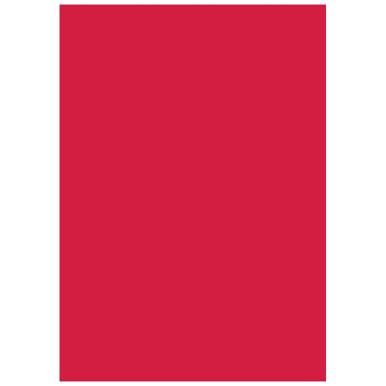 Multifunktionspapier Universalpapier | A4, 120 g/m², mittelrot, 35 Blatt
