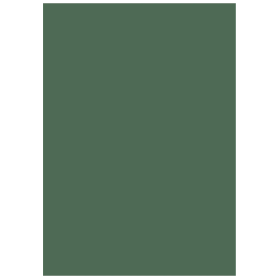Multifunktionspapier Universalpapier | A4, 160 g/m², moosgrün, 25 Blatt