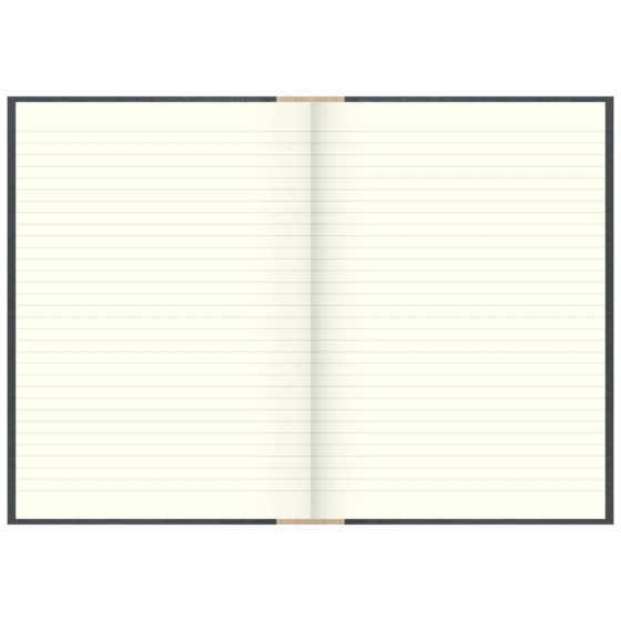Geschäftsbuch | A4, 480 Seiten, mit Seitenzahlen, liniert, Kunststoff, grau