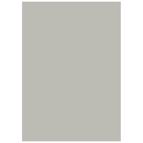 Multifunktionspapier Universalpapier | A4, 80 g/m², grau, 50 Blatt