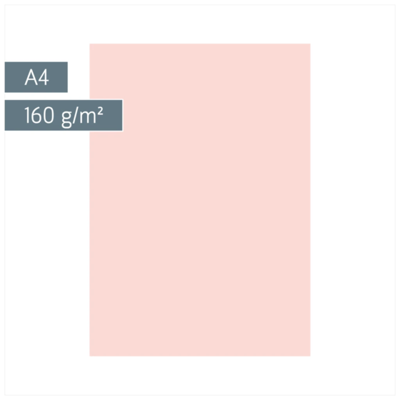 Multifunktionspapier Universalpapier | A4, 160 g/m², rosé, 25 Blatt