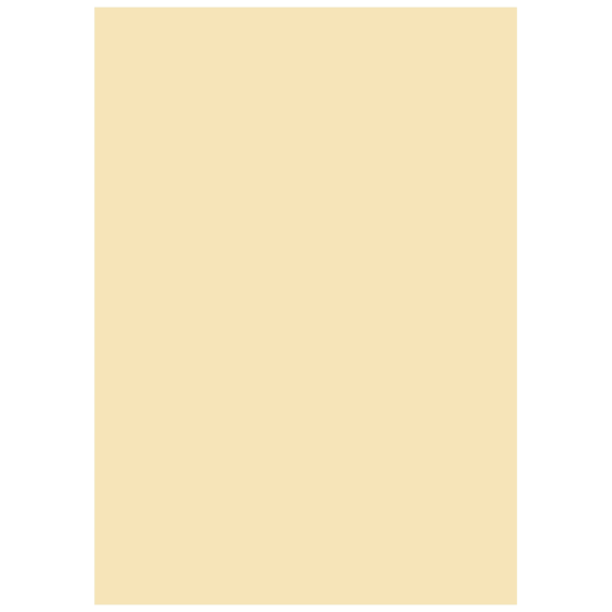 Multifunktionspapier Universalpapier | A4, 80 g/m², chamois, 50 Blatt