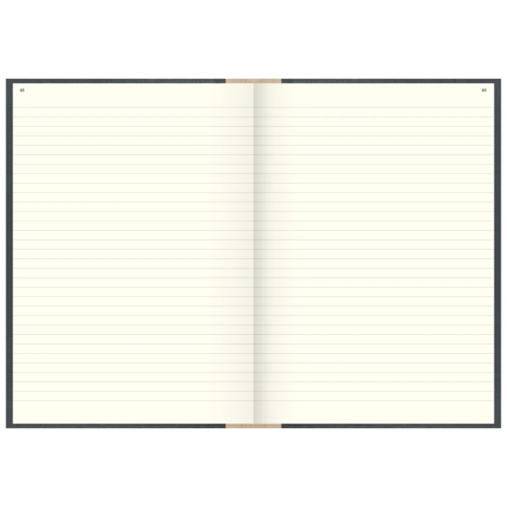 Geschäftsbuch | A4, 384 Seiten, mit Seitenzahlen, liniert, Kunststoff, grau
