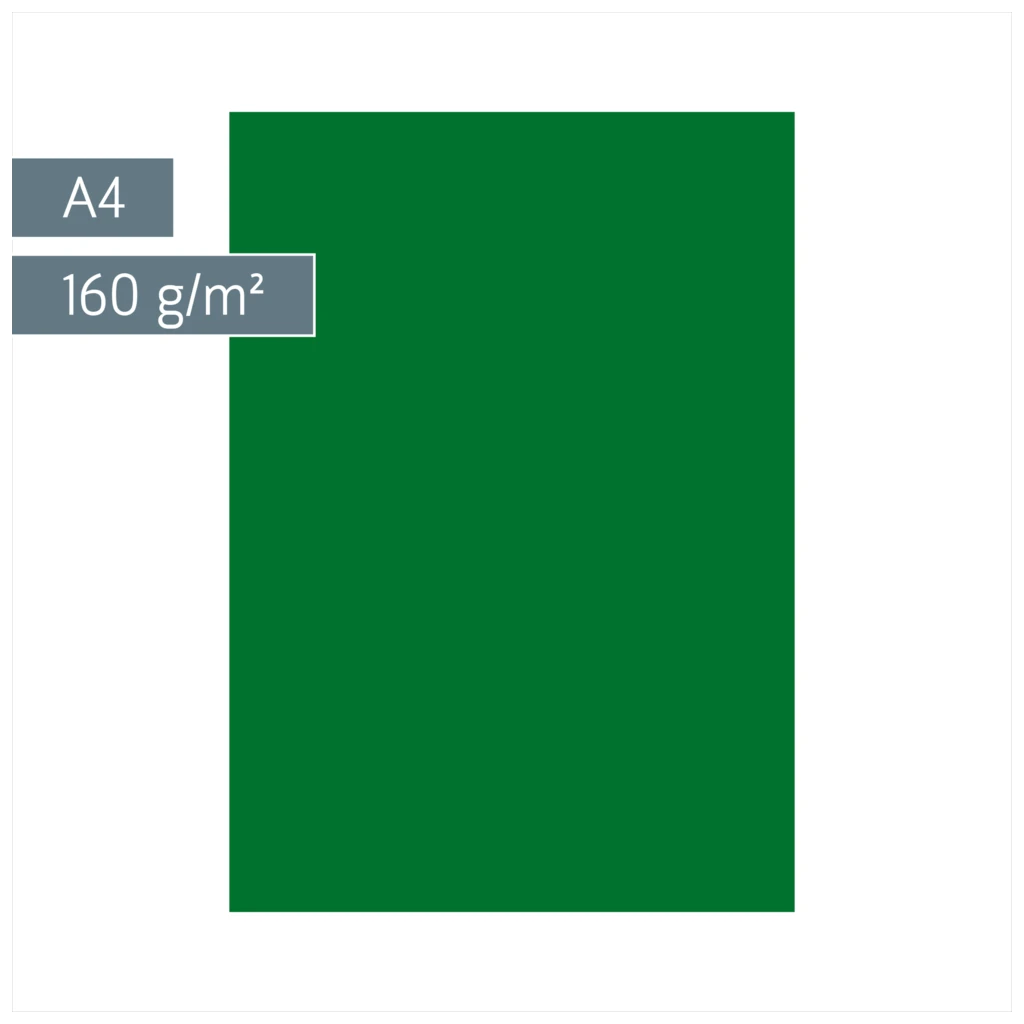 Multifunktionspapier Universalpapier | A4, 160 g/m², dunkelgrün, 25 Blatt