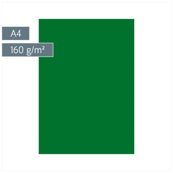 Multifunktionspapier Universalpapier | A4, 160 g/m², dunkelgrün, 25 Blatt
