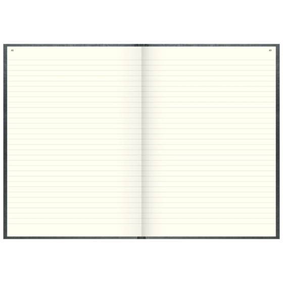 Geschäftsbuch | A4, 288 Seiten, mit Seitenzahlen, liniert, Kunststoff, grau