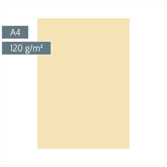 Multifunktionspapier Universalpapier | A4, 120 g/m², chamois, 35 Blatt