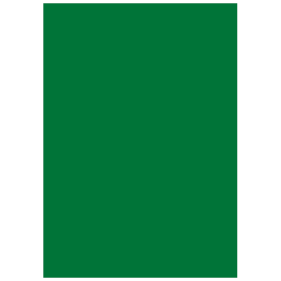 Multifunktionspapier Universalpapier | A4, 160 g/m², dunkelgrün, 25 Blatt
