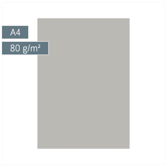 Multifunktionspapier Universalpapier | A4, 80 g/m², grau, 50 Blatt