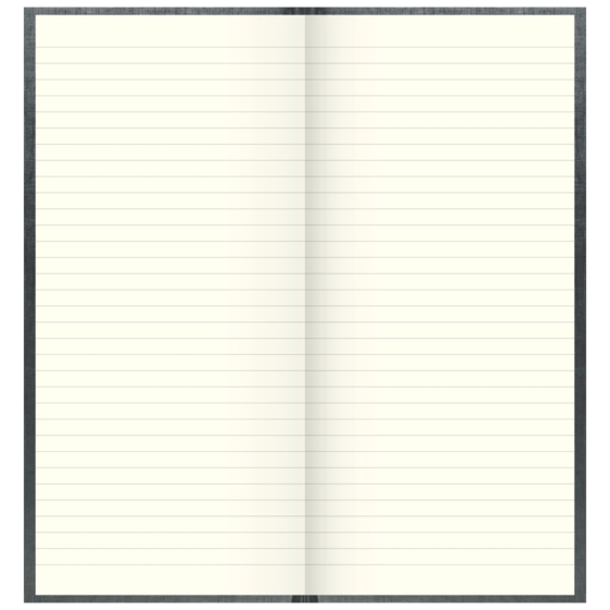Geschäftsbuch | 2/3 A4, 288 Seiten, liniert, Kunststoff, grau