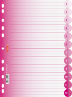 Ringbuchregister Colour Code blanko pink