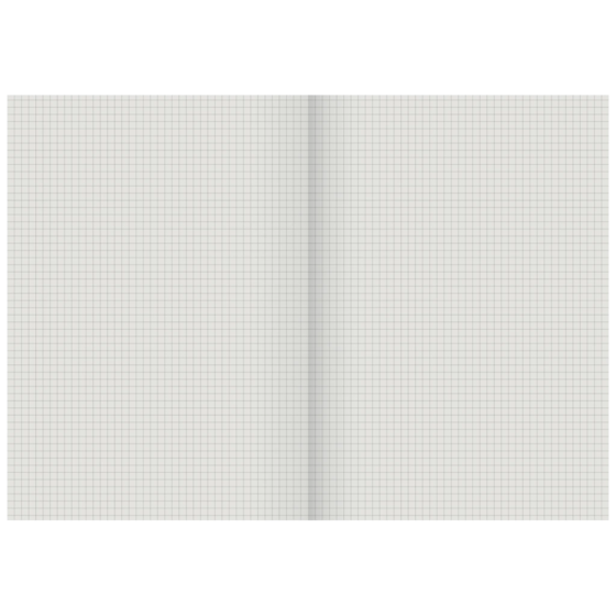 Geschäftsbuch | A4, 192 Seiten, kariert, Karton