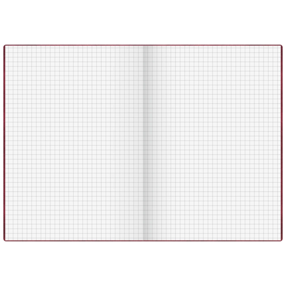 Geschäftsbuch | A5, 192 Seiten, kariert, Kunststoff, rot