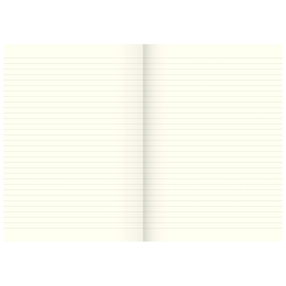 Geschäftsbuch | A4, 80 Seiten, liniert, Karton, magenta/hellblau