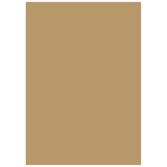 Multifunktionspapier Universalpapier | A4, 160 g/m², sand, 25 Blatt
