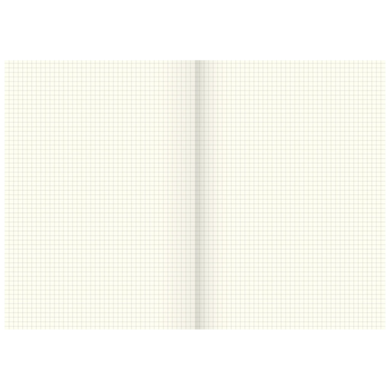 Geschäftsbuch | A4, 80 Seiten, kariert, Karton, magenta/hellblau