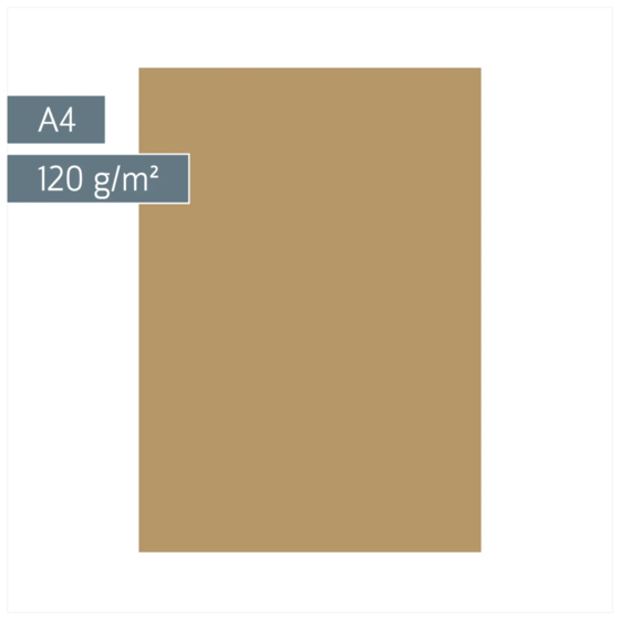 Multifunktionspapier Universalpapier | A4, 120 g/m², sand, 35 Blatt