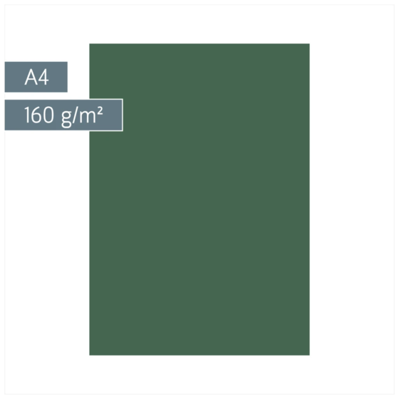 Multifunktionspapier Universalpapier | A4, 160 g/m², moosgrün, 25 Blatt