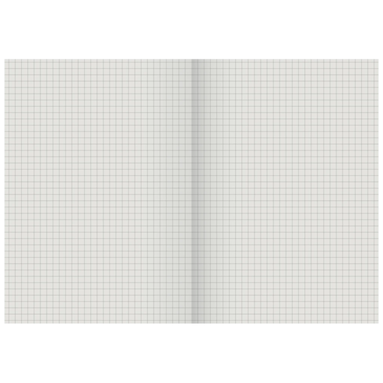 Geschäftsbuch | A5, 192 Seiten, kariert, Karton