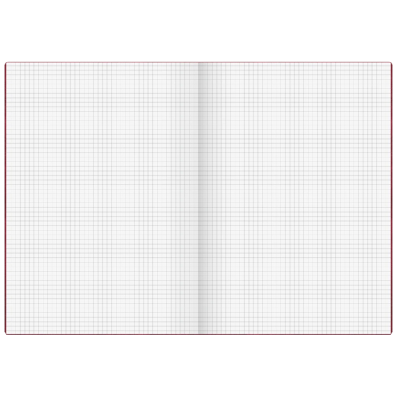 Geschäftsbuch | A4, 192 Seiten, kariert, Kunststoff, rot