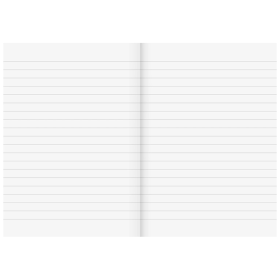 Diarien | A5, liniert, 60 Blatt, sortiert