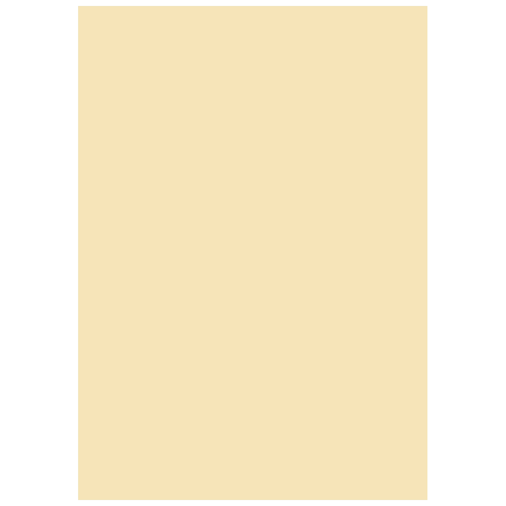 Multifunktionspapier Universalpapier | A4, 120 g/m², chamois, 35 Blatt