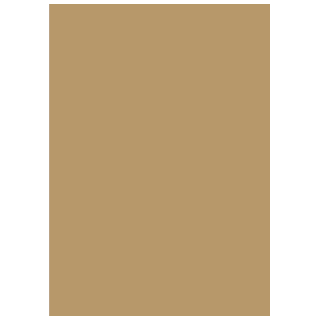 Multifunktionspapier Universalpapier | A4, 120 g/m², sand, 35 Blatt